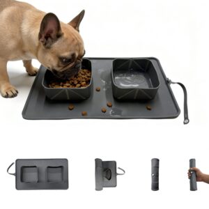 Collapsible Double Bowl Portable Pet Feeder